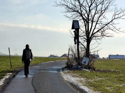 Zwischen Arnsdorf und Gunsering.