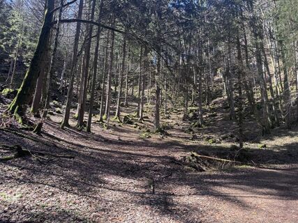 Foto von Florian Spießberger entlang der Tour