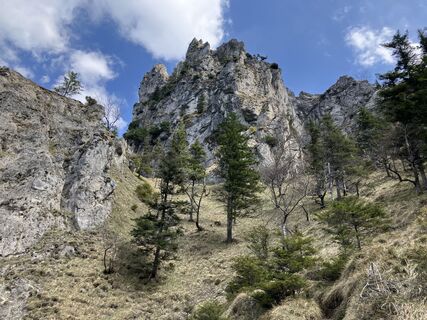 Fotografia z Meinrad Föger na trase