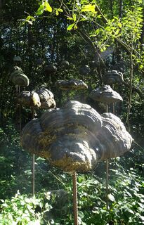 Schwebende Pilze