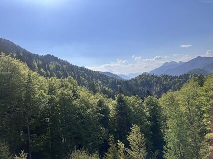 Foto från Reinhard Peter under resans gång