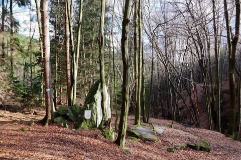 Der unter Naturschutz stehende Teufelsstein