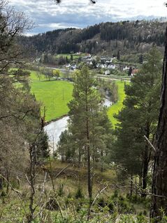 Fotografija s spletne strani Melanie Bechtold na poti