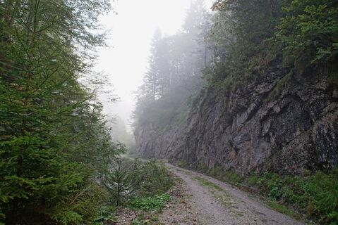 Elsental