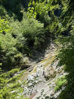 Foto von Lena Scheer entlang der Tour