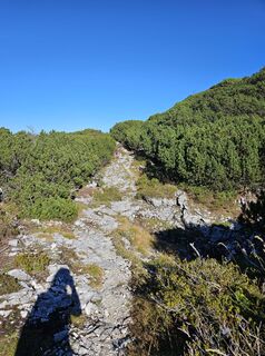 Foto de Gipfel Göre a lo largo del recorrido