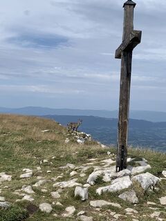 Photo de julien moreno le long du parcours