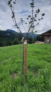 Fotografia z Ralf Hilprecht na trase