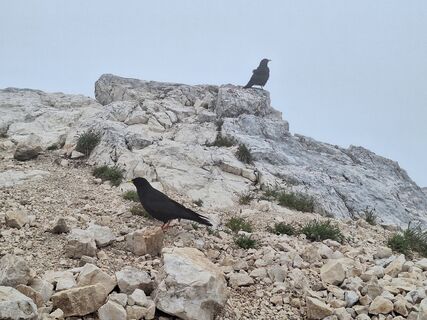 Photo de Patrick Fresenberger le long du parcours