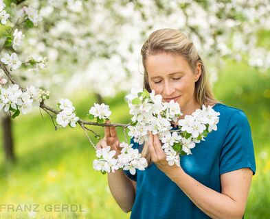Apfelblüte im Granitztal