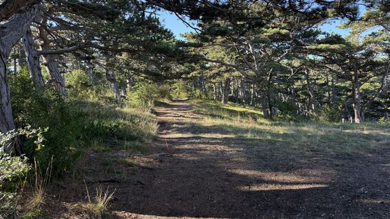 Photo de Martin Weinbrenner le long du parcours