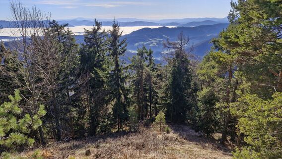 Foto de Štefan Jenko a lo largo del recorrido