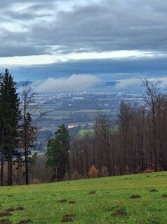 Zdjęcie z Mimi wzdłuż trasy
