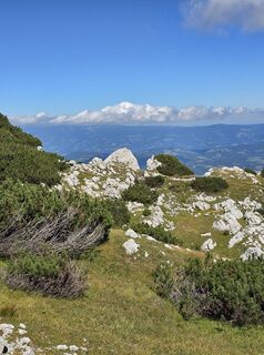 Photo from Damir Habuš along the tour
