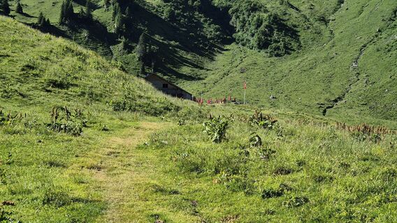 Foto de Philippe Horner a lo largo del recorrido