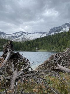 Fotografie z Sven Krieblin na trase