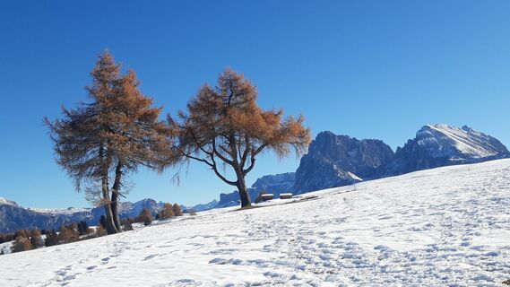Kuva osoitteesta Ruggero Sampieri matkan varrella