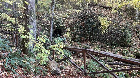 Foto de Miklós György Muth a lo largo del recorrido