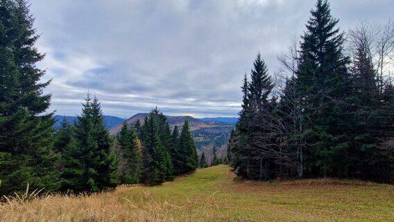 Фото с сайта EP87 во время экскурсии