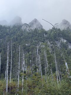 Fotografija s spletne strani Tomasz Setlik na poti