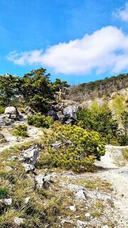 Fotografia z Elisabeth Rossa na trase