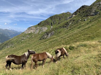 Foto von Koen De Wit entlang der Tour