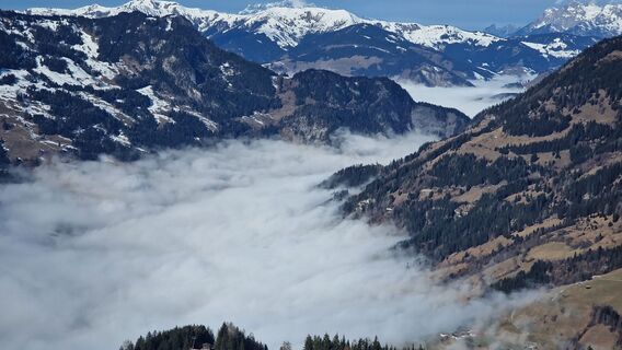 Fotografia z Isabella Schwaiger-Moser na trase