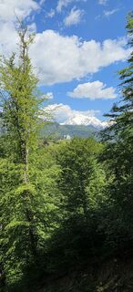 Zdjęcie z Boštjan Bohinc wzdłuż trasy