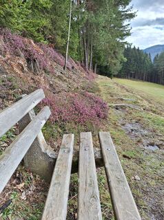 Foto von Dagmar Hofer entlang der Tour