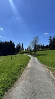 Foto von Jana Hujeckova entlang der Tour