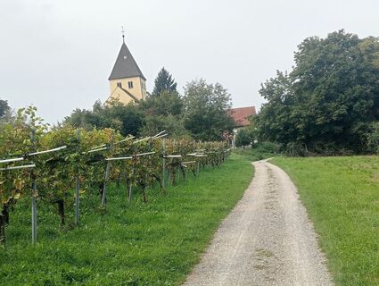 Foto fra simone ravasi underveis på turen