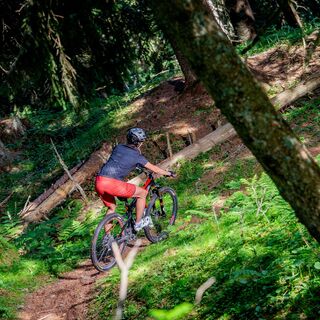 Singletrail Ruschein-Ilanz