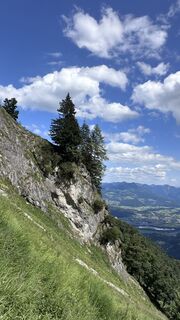 Foto von Mountain Cat ? ⛰️ entlang der Tour