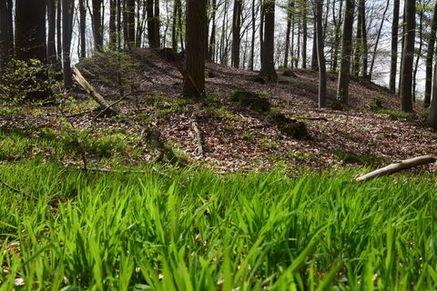 RI 5 Drei-Burgen-Route Osterburg