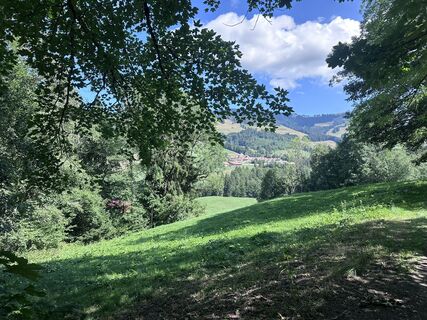 Fotografija s spletne strani Yves Ecuyer na poti
