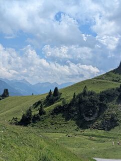 Fotografija s spletne strani Julian Lewisch na poti