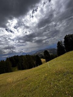 Foto von Niklas Müller 6 entlang der Tour