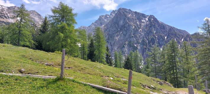 Foto von Helga Stadlbauer entlang der Tour