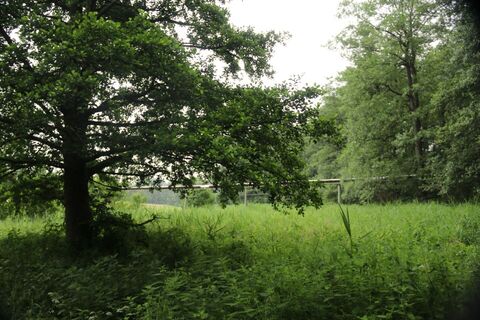 Moormeile