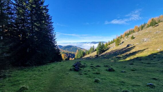 Fotografia z EP87 na trase