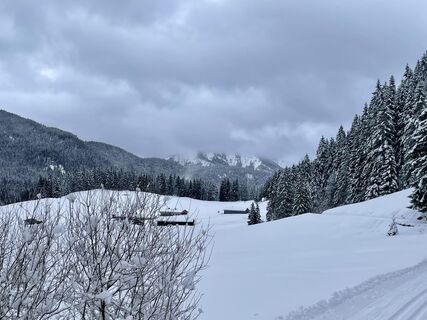 Foto von Helen Löffler entlang der Tour