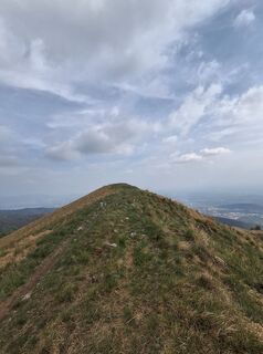 Fotografie z Marco Pezzuolo na trase