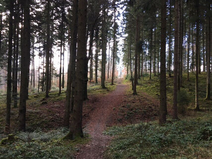 Wegverlauf Kirchberg-Rundweg