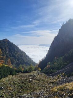 Photo de Claudia Maier 2 le long du parcours