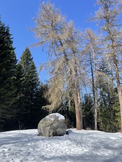 Zdjęcie z Guglielmo Battocletti wzdłuż trasy