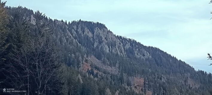 Foto fra Bergpirat underveis på turen