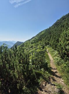 Foto von Steffen Kollmann entlang der Tour
