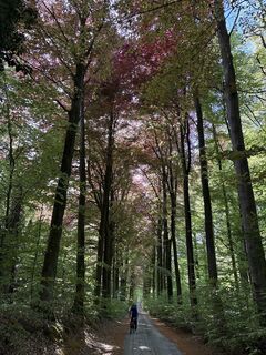 Foto de Silvia Huber a lo largo del recorrido