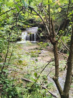 Foto fra Taffareu undervejs på turen