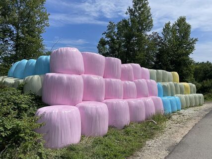 Fotografia z Thomas Weibel na trase